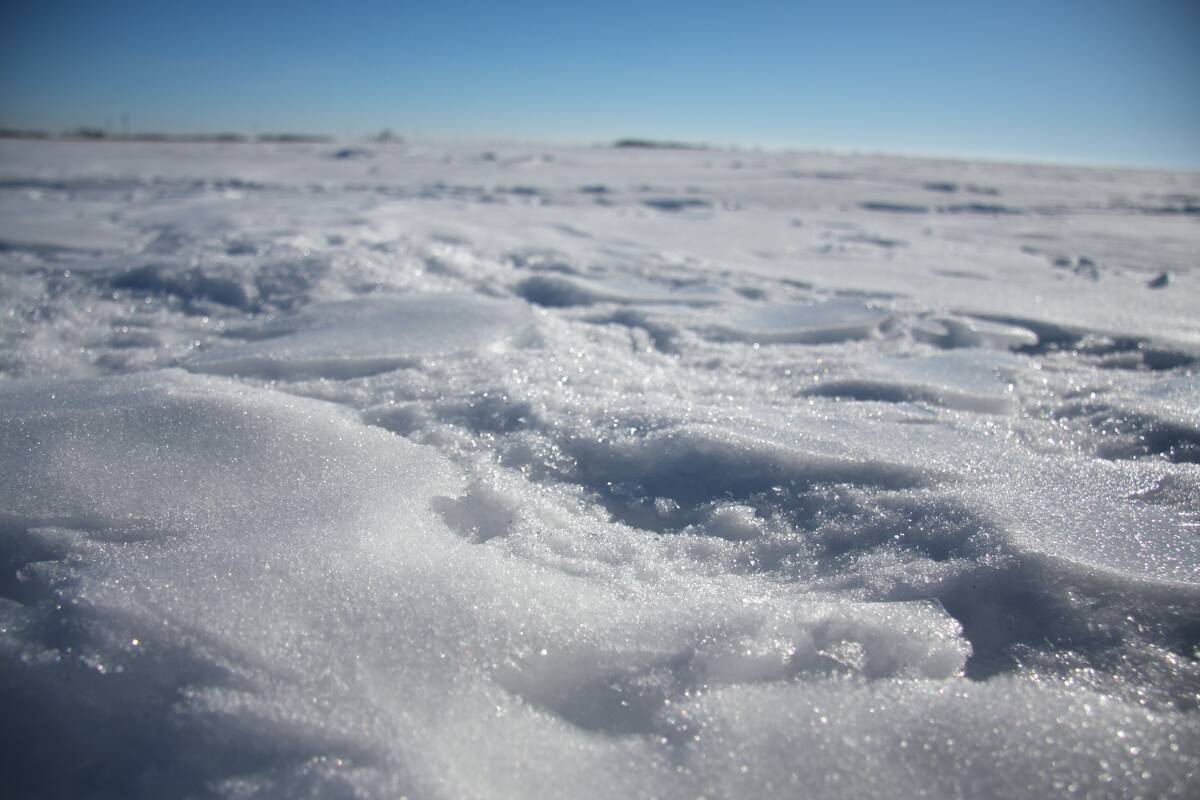 A low-level photo of the winter snow on a sunny day.