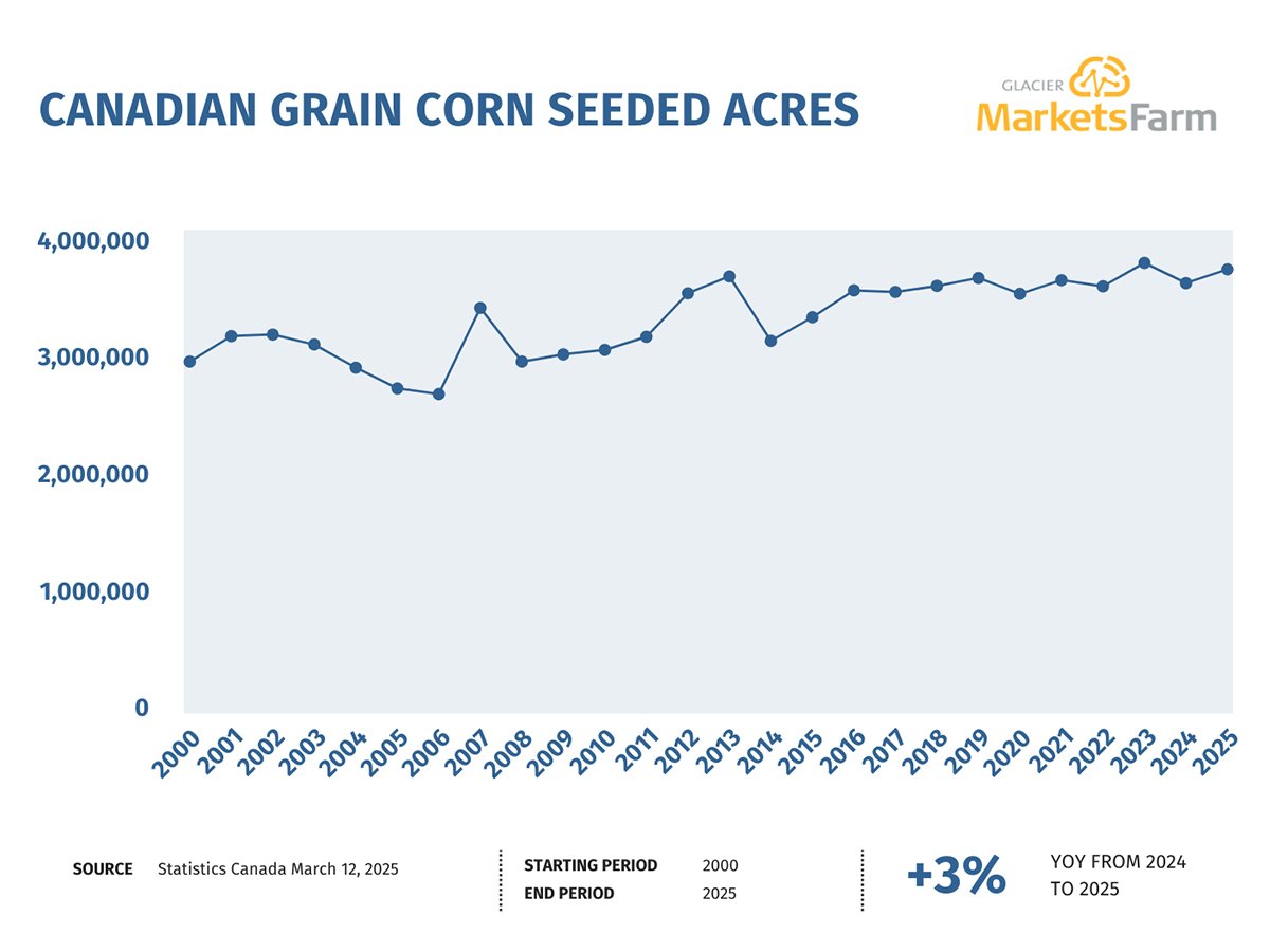 A line chart showing Canadian grain corn seeded acres from 2000 to 2025, sourced from Statistics Canada