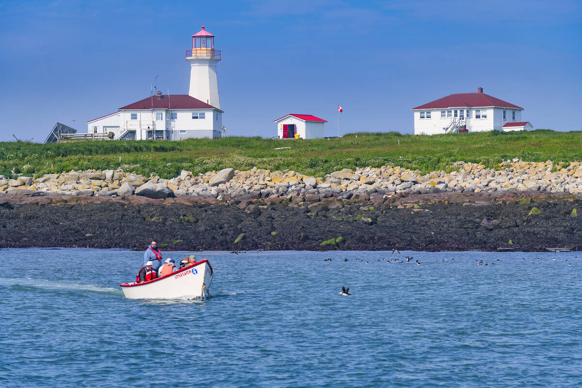 A skiff transfers visitors from the tour boat to the island.