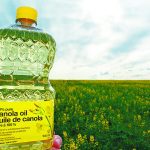 A hand holds a bottle of No Name canola oil with a canola field in the background.