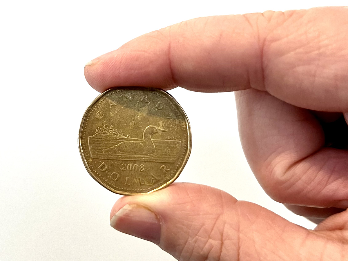 A hand holding a Loonie.