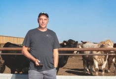 Leighton Kolk standing in front of a pen with some cattle in it.