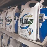 Containers of Roundup on display on a shelf in a store.