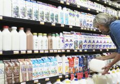 A woman looks at a jug of milk in front of a dairy display cooler in a grocery store.