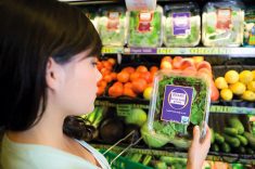 A woman looks at a package of "organic mixed baby greens" in a grocery store's produce section.