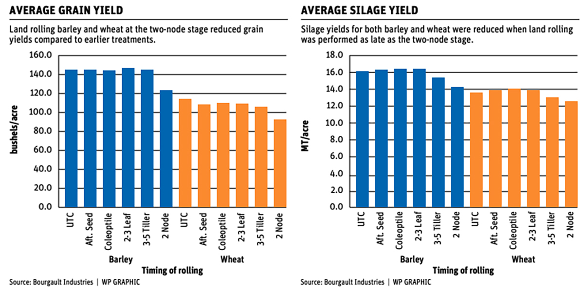 Graphs showing average yield for both grain and silage when the crops were land rolled.