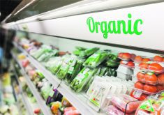 An organic produce section in a grocery story.