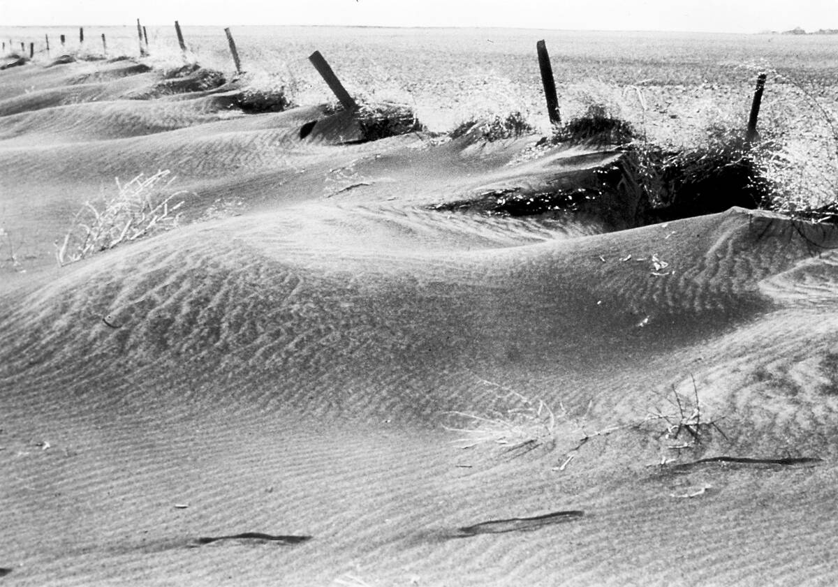 Soil is built up along a fence line during the 1930s.