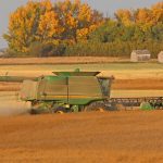 A John Deere combine harvests a crop of canola late on a fall afternoon.