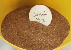 Canola meal in a yellow pail with "canola meal" hand-written in ink on a round piece of paper left sticking out of the meal.
