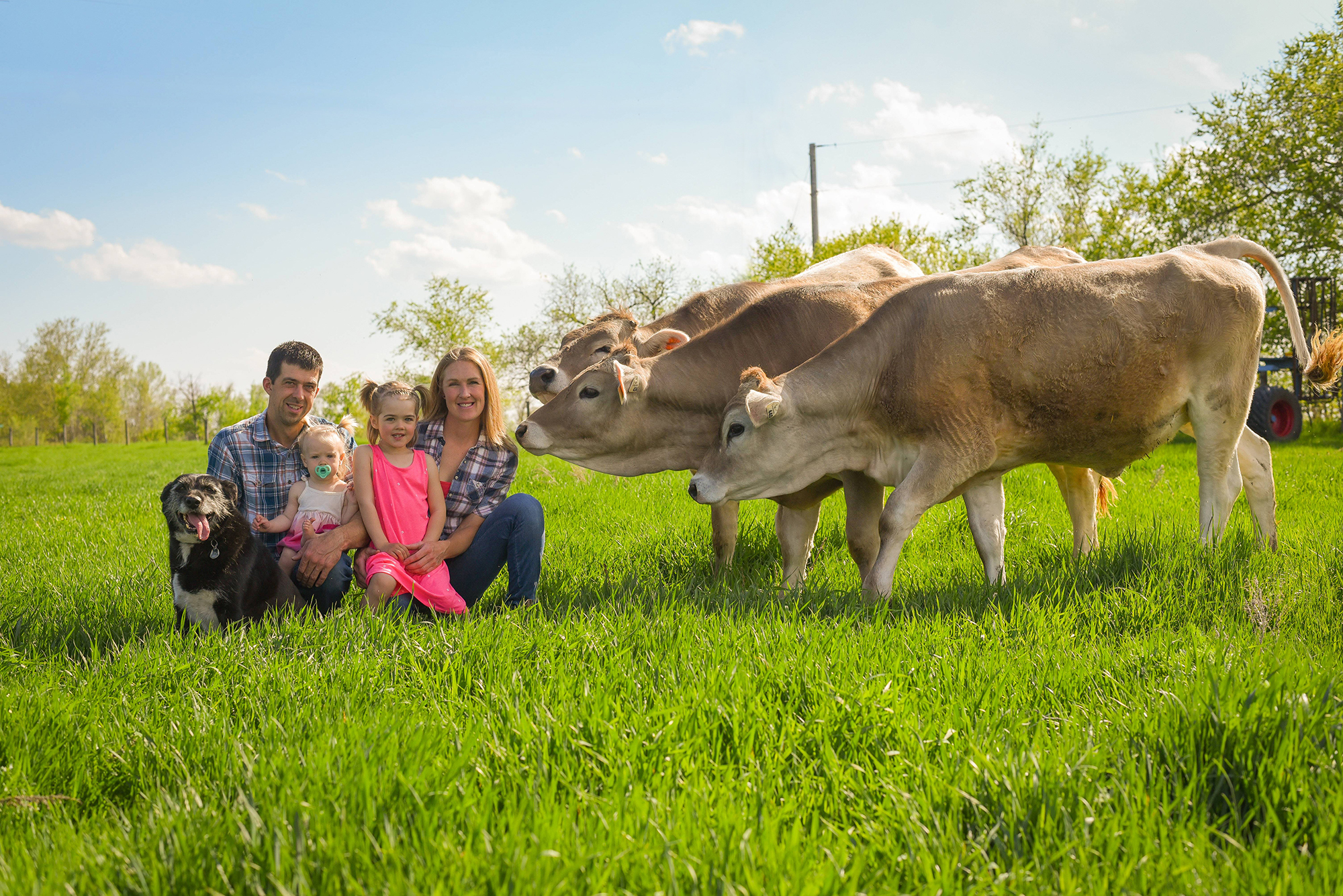 The Marcus family of four sitting on a grassy field surrounded by grazing cows under a clear blue sky.