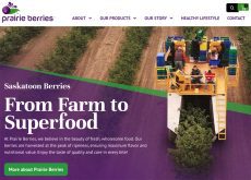 A screencap of the Prairie Berries website showing a large berry picking machine straddling a row of berry bushes with several people on top of it.