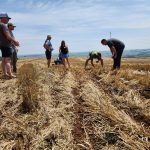 A group of Alberta farmers examine the soil and crop in a field in Brazil.
