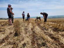 A group of Alberta farmers examine the soil and crop in a field in Brazil.
