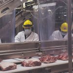 Workers in a meat plant process pork on a production line.