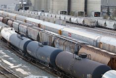 A variety of rail cars are parked in a rail yard.