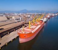 Bulk container ships sit alongside a dock in China.