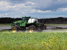 A sprayer sprays canola ahead of bolting.