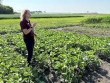 A woman stands in a crop plot speaking to an unseen group.