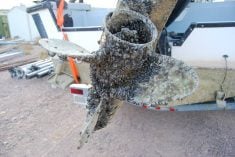 A close-up of the propeller on a boat encrusted in zebra mussels.