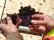 A close-up of two hands holding some black soil.