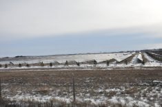 A large-scale solar array sits in a snowy field in Alberta.