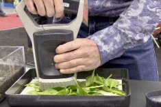 A handheld scanner is held overtop some leaves in a tray to demonstrate its abilities.
