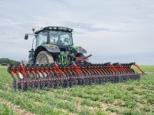 An inter-row cultivator works on an organic crop.