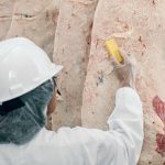 A worker washes a beef carcass in a meat production plant