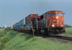 A CN locomotive hauls intermodal containers with bright green gras along the tracks.