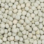Crop insurance data suggests Canadian growers planted fewer green pea acres last year compared to Statistics Canada’s estimate. Photo: Saskatchewan Pulse Growers