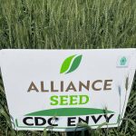 Canterra buys pedigreed seed firm Alliance Seed