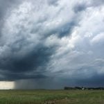 Rain pours from beneath a huge storm cloud in the distance, a lush green prairie pasture is in the foreground.
