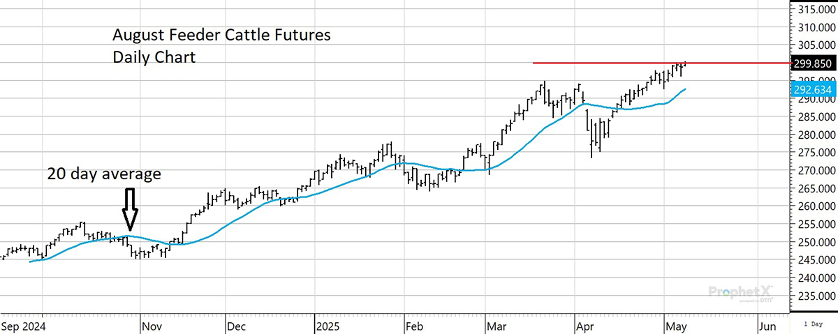 A graph showing the value of August feeder cattle futures from September 2024 to June 2025.