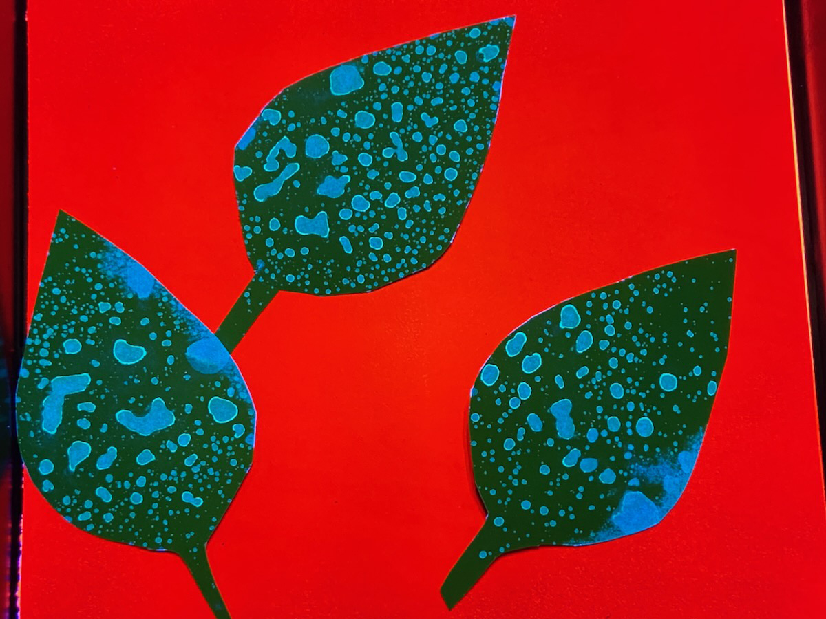Pieces of paper shaped like leaves have drops all over them as they are used to illustrate how effectively spray from a sprayer is able to reach a plant's leaves.