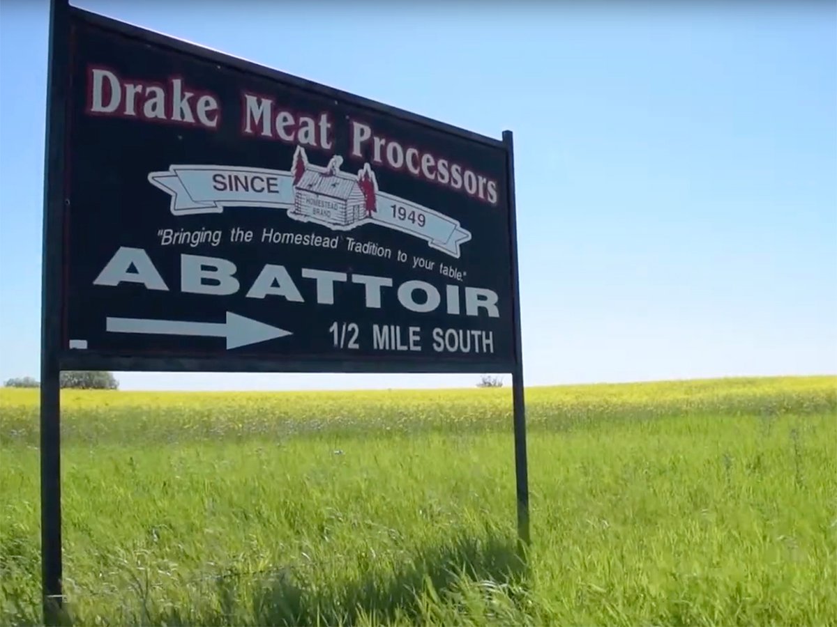 A "Drake Meat Processors" roadside sign photographed in summertime against a blue sky background.