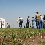A low angle photo taken from ground level of the participants at the Western Beef Development Centre field day at the Termuende research farm near Lanigan, Saskatchewan.