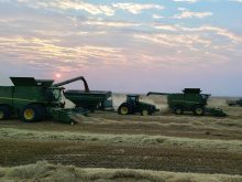 Two John Deere combines harvest a crop while a John Deere tractor pulls a grain cart that the first combine is unloading "on the fly" into.