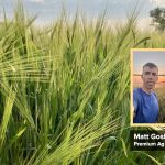Agronomist Matt Gosling.