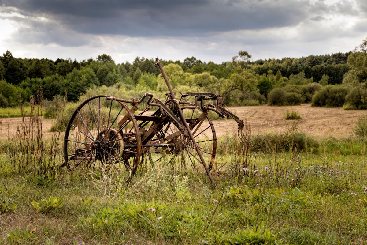 Photo: Wirestock/Getty Images Plus
