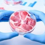 Two hands wearing blue latex exam gloves hold a petrie dish with what appears to be meat in it.