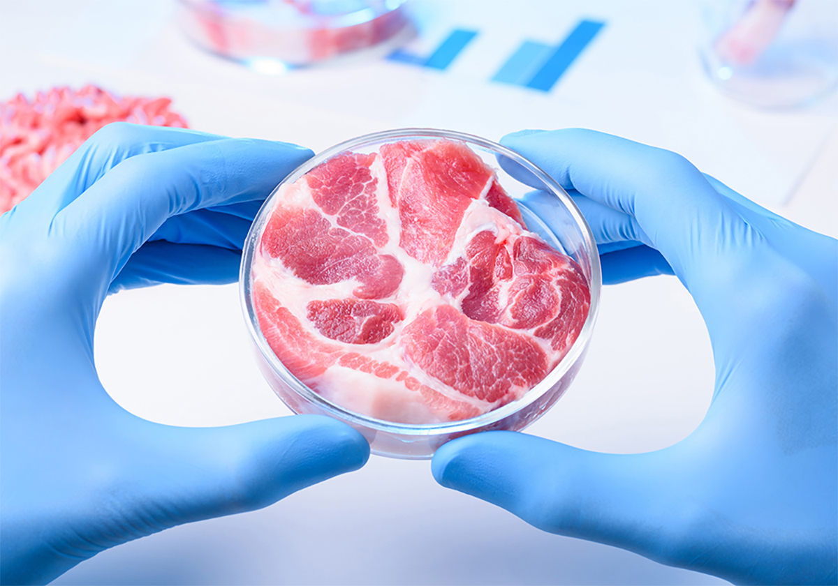 Two hands wearing blue latex exam gloves hold a petrie dish with what appears to be meat in it.