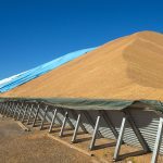 Chickpeas are stored outdoors in a massive pile partially covered by a tarp in NSW Australia.