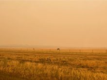 Wildfire smoke gives the air an orange tinge outside Calgary, August 2023.