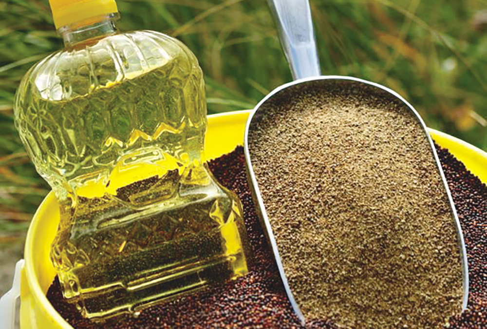 Photo: Canola Council of Canada
