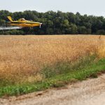 A spray pilot applies a preharvest herbicide to a canola crop near Girvin, Sask.