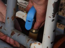 A vaccine is administered while an animal is held in a chute.