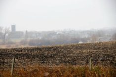 A farm field with some older fence posts in the foreground and the city of Brandon, Manitoba, immediately behind it.