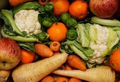 A colourful and tightly-packed collection of fruit and vegetables including apples, oranges, turnips, cauliflower and carrots.