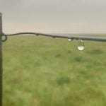 Close-up of a raindrop about to fall from a strand of high-tensile wire near a fencepost during a rain.